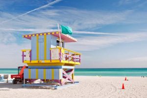 The Best Things To Do in South Florida